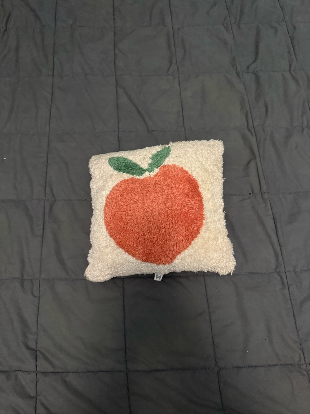 Urban Outfitters home peach throw pillow